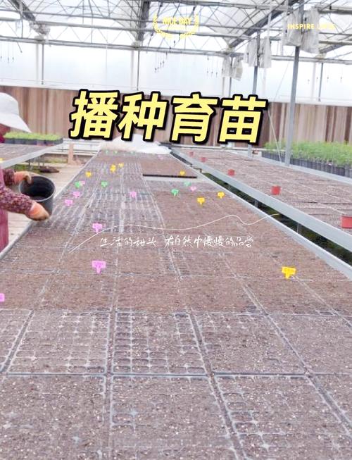 家庭种植养殖加工新技术有哪些实用妙招？-图2