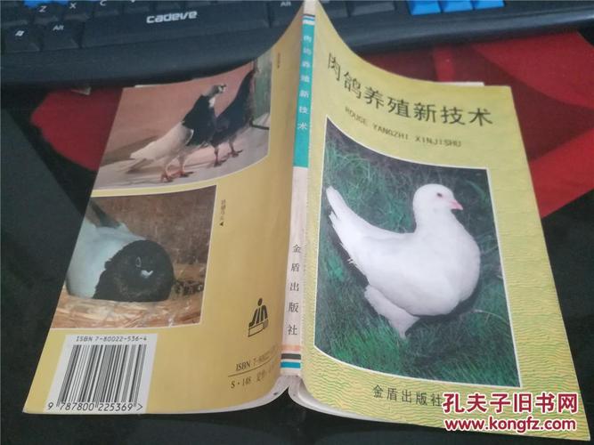 肉鸽养殖新技术在线阅读，如何高效掌握？-图3