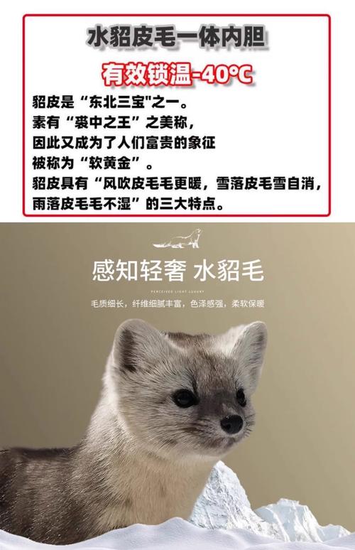 2008年狐狸貉皮价格为何波动？-图2