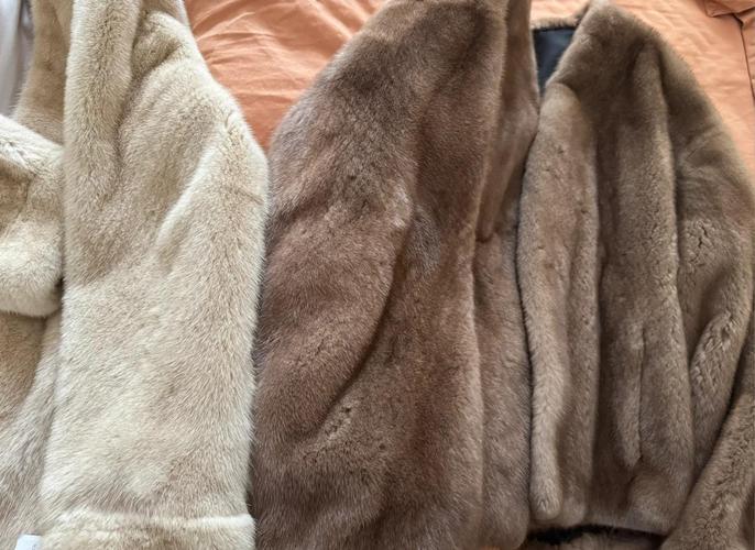 2025狐狸皮价格会涨还是跌？-图2