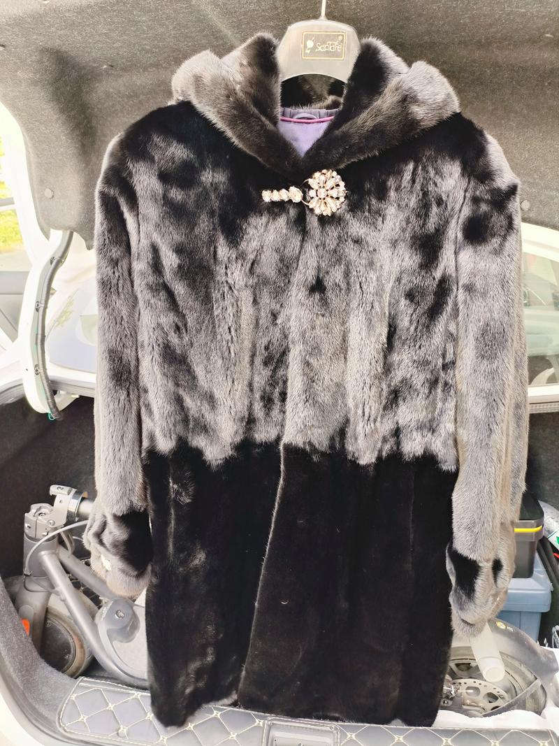 2025年9月水貂价格会涨还是会跌？-图1