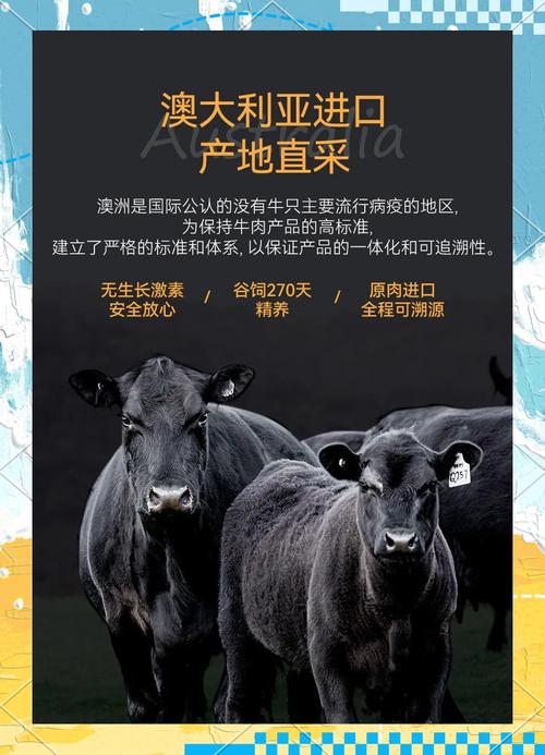 进口肉牛哪些品种最优良？-图1