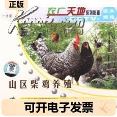 果园林地养鸡如何生态高效？-图1