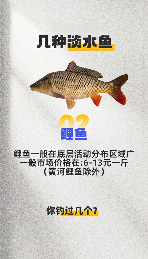 2025年5月鱼类价格为何波动？-图2