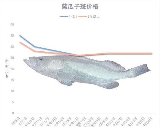 2025年5月鱼类价格为何波动？-图3