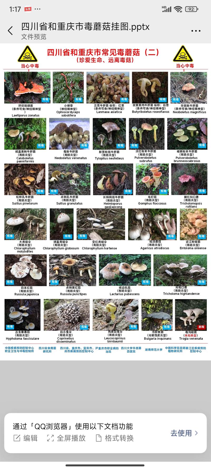 毒蘑菇品种大全图片名称如何辨别有毒？-图3