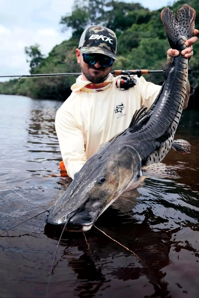 什么品种鸭嘴鱼游动性强？-图3