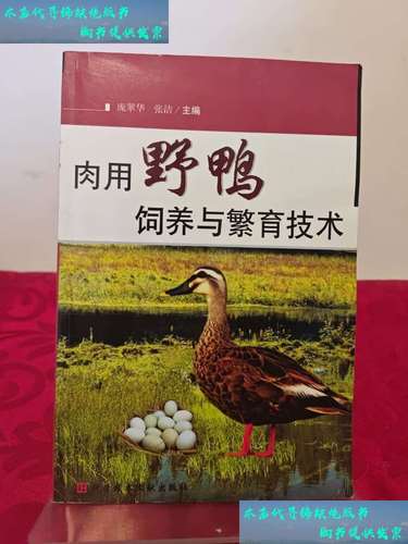 肉用野鸭饲养繁育技术要点有哪些？-图1