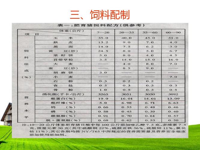 养猪技术大全及饲料配方，如何高效实用？-图3