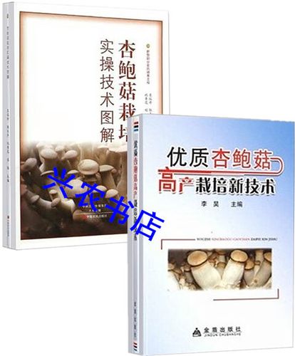 蘑菇栽培管理视频,关键技术要点有哪些?-图3 蘑菇栽培管理视频,关键技术要点有哪些?-图3
