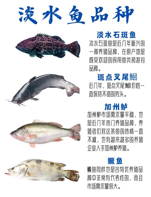 珍贵淡水鱼养殖品种大全-图1