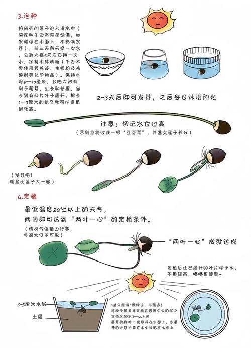 中草药种植技术视频，如何高效掌握种植要点？-图1