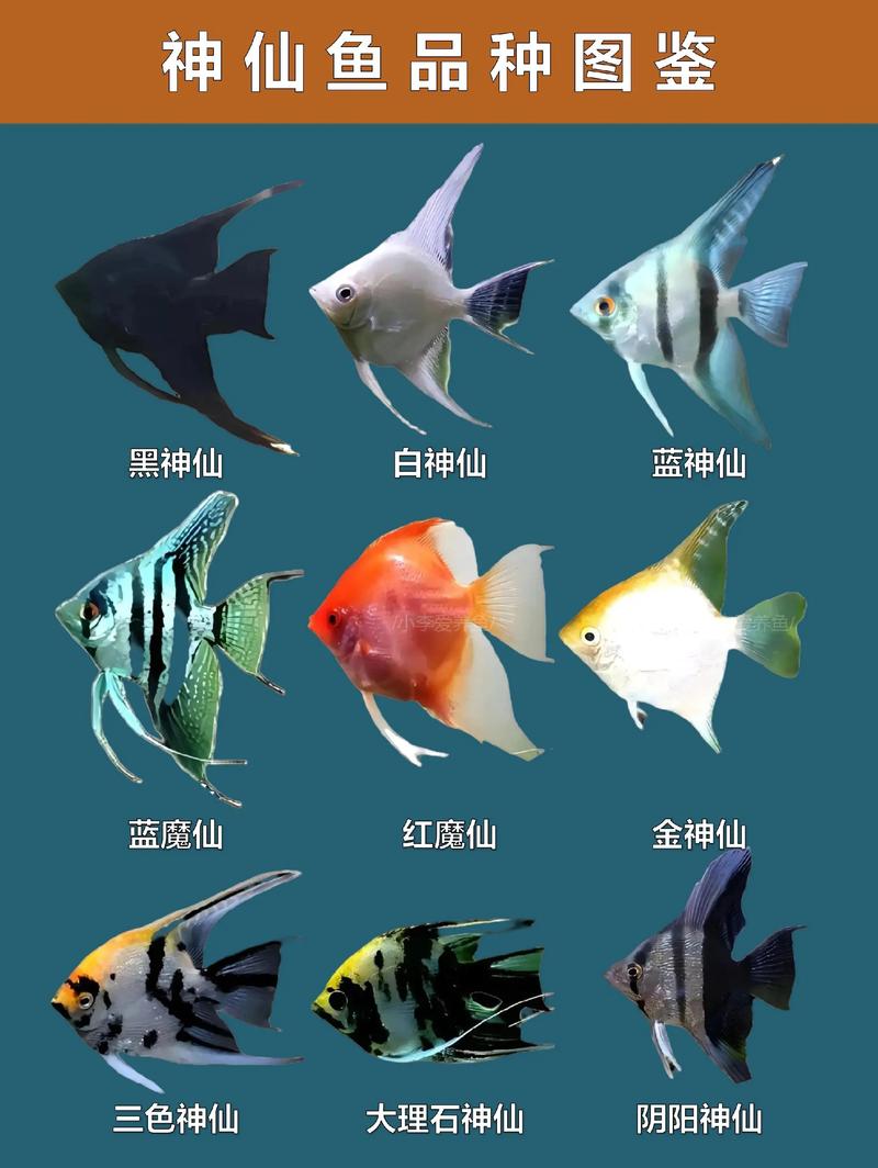 养殖鱼品种到底有多少种？-图1