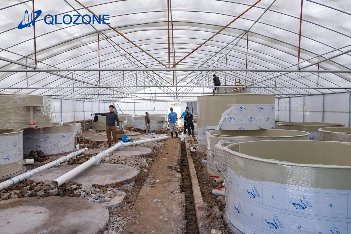 加州鲈鱼循环水养殖技术如何高效应用？-图2