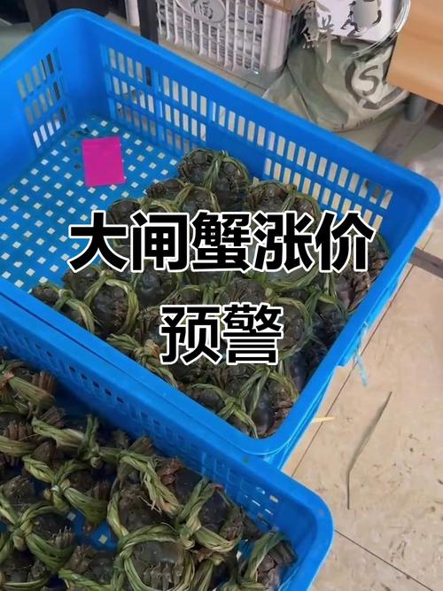 2025年螃蟹价格会涨还是跌?-图3 2025年螃蟹价格会涨还是跌?-图3