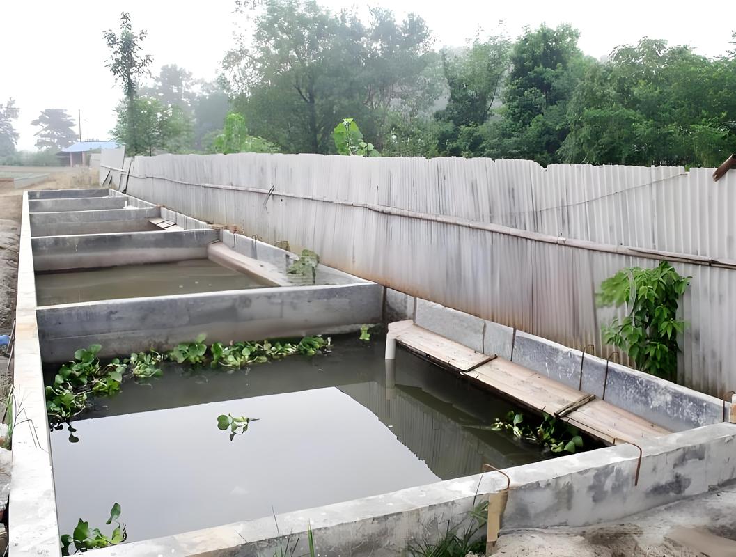 龟鳖无公害养殖关键技术有哪些？-图1