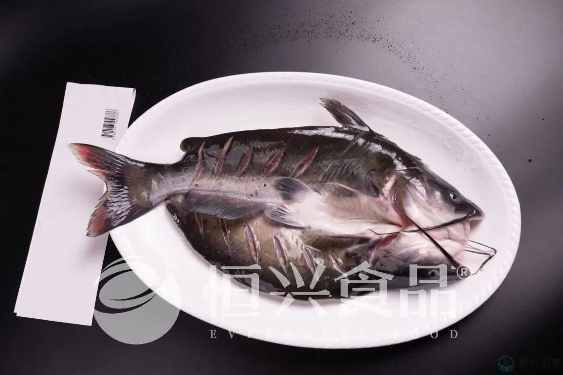 2025斑点叉尾鮰价格会涨还是跌?-图2 2025斑点叉尾鮰价格会涨还是跌?-图2