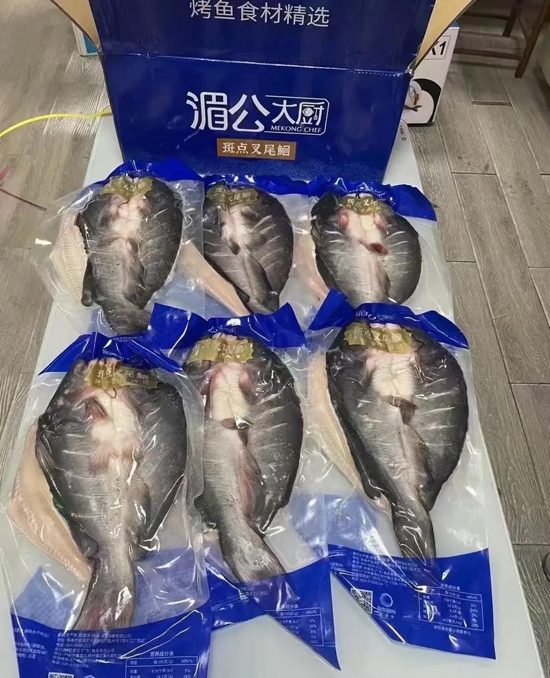 2025斑点叉尾鮰价格会涨还是跌?-图1 2025斑点叉尾鮰价格会涨还是跌?-图1