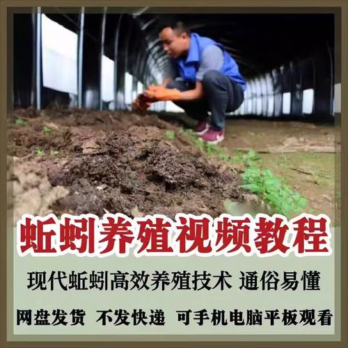 蚯蚓养殖 蚯蚓养殖技术-图2 蚯蚓养殖 蚯蚓养殖技术-图2