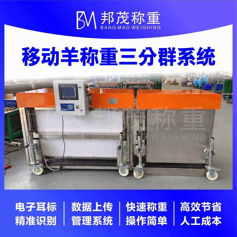 福建山羊价格现在多少钱一斤？-图2