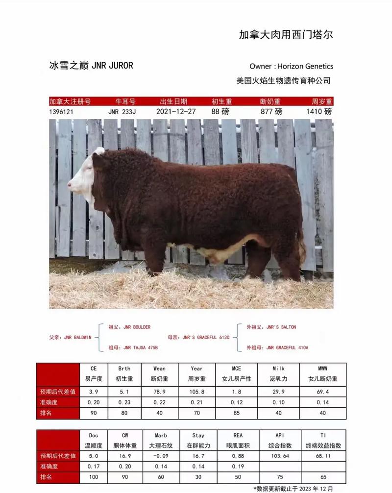 肉牛优良品种有哪些关键文献值得参考？-图2