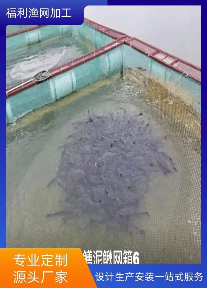 水蛭网箱养殖技术 视频-图1 水蛭网箱养殖技术 视频-图1