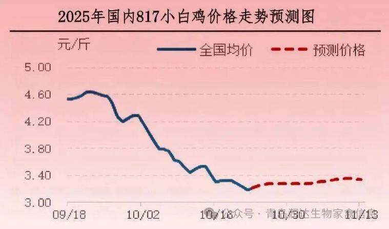 今日817毛鸡价格走势如何？-图2