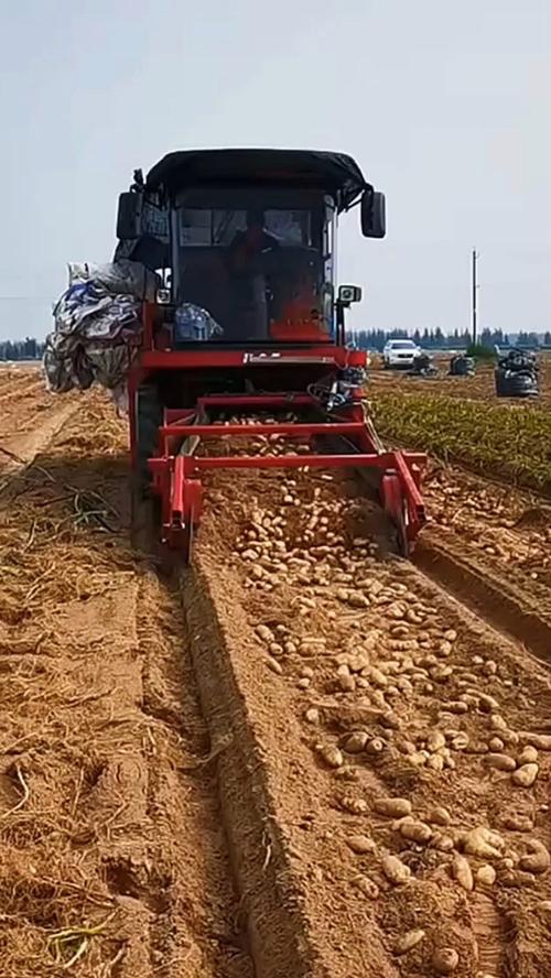 马铃薯机械种植技术视频要点有哪些？-图3