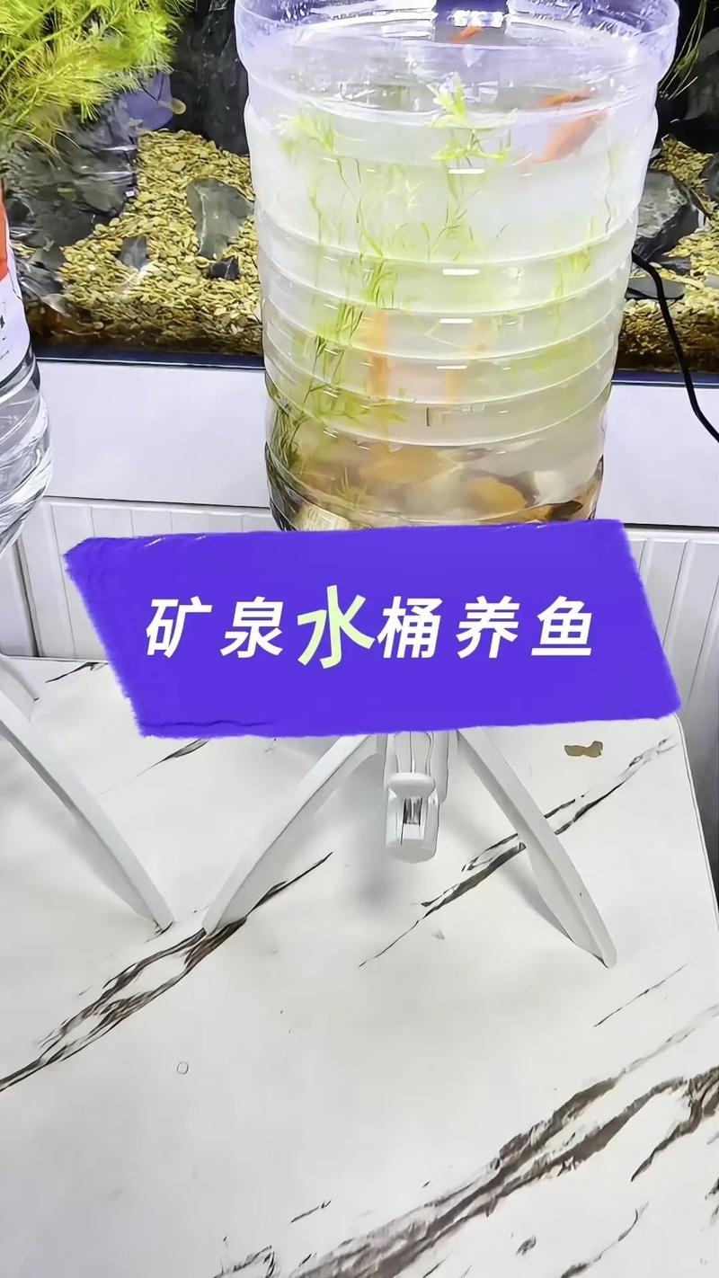 10米圆桶养鱼成本究竟有多高？-图3