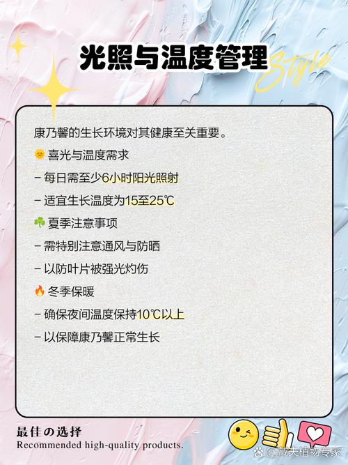 大棚花卉康乃馨种植技术-图2