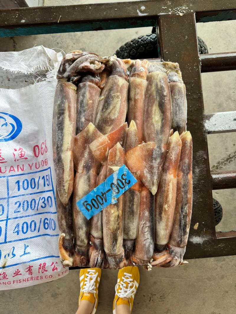 2025年阿根廷鱿鱼价格会涨还是跌?-图1 2025年阿根廷鱿鱼价格会涨还是跌?-图1