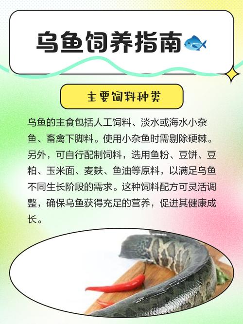 乌鱼及其养殖技术 饲料-图1 乌鱼及其养殖技术 饲料-图1