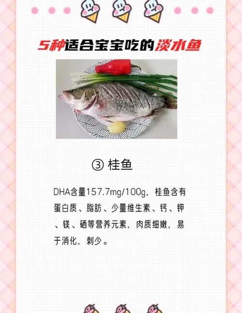 乌鱼及其养殖技术 饲料-图2