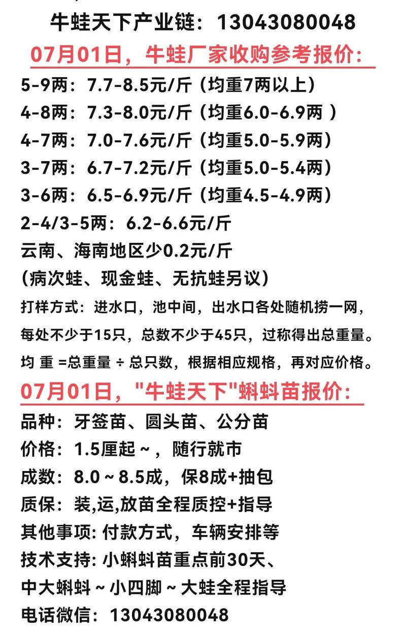 牛蛙2025年价格行情-图3 牛蛙2025年价格行情-图3