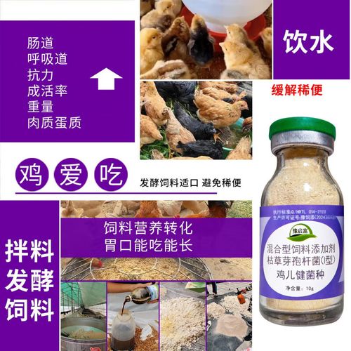 益生菌养鸡技术视频,如何提升养殖效益?-图1 益生菌养鸡技术视频,如何提升养殖效益?-图1
