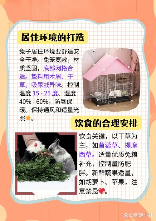 兔子怎样养殖 技术方法-图1 兔子怎样养殖 技术方法-图1