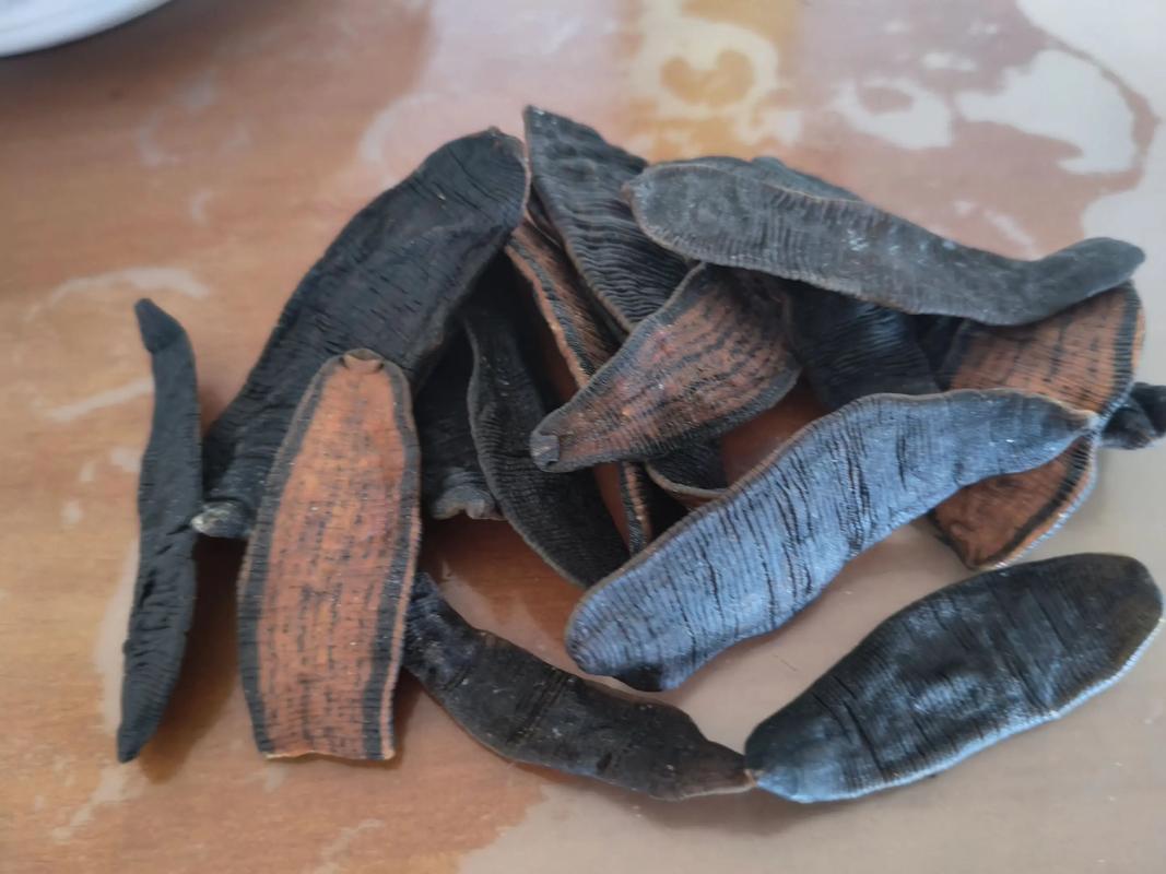 2025野生水蛭价格会涨还是跌?-图2 2025野生水蛭价格会涨还是跌?-图2