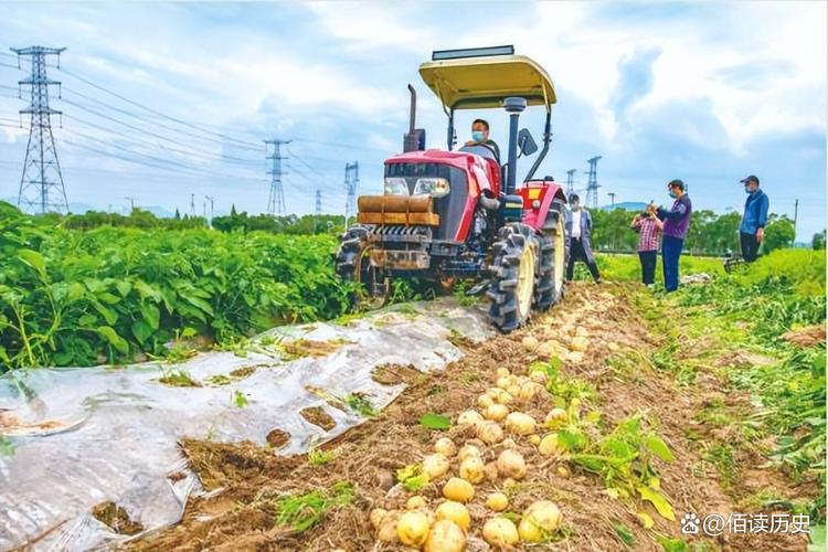 高产马铃薯种植技术视频有哪些关键要点?-图1 高产马铃薯种植技术视频有哪些关键要点?-图1