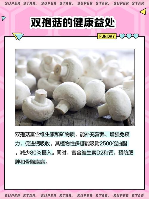 家庭如何轻松种植双孢菇?-图1 家庭如何轻松种植双孢菇?-图1