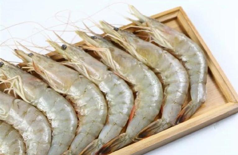 南美白对虾什么品种好?-图1 南美白对虾什么品种好?-图1