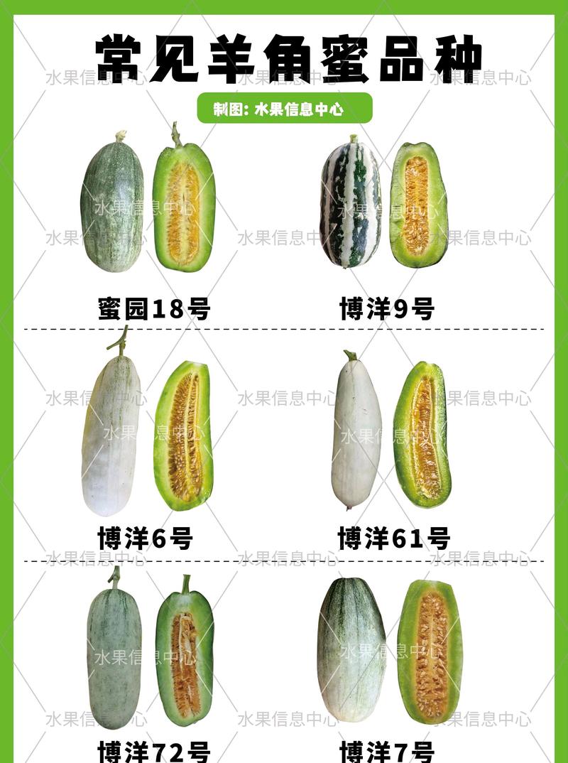 羊角蜜哪些品种最畅销？-图1