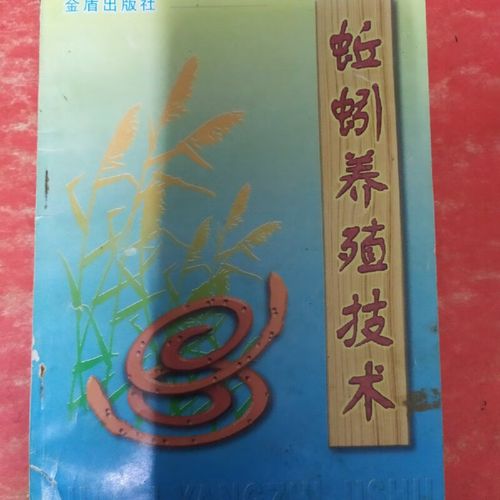 养蚯蚓技术有哪些关键要点？-图2