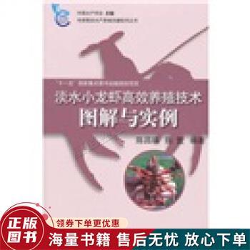 淡水小龙虾养殖技术有哪些关键要点？-图2