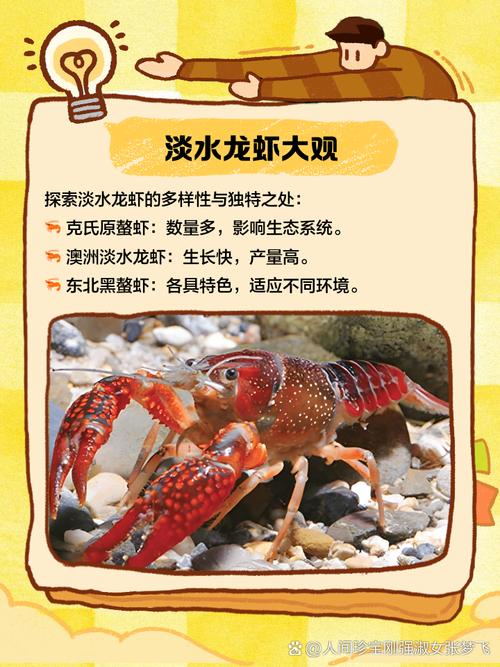 淡水小龙虾养殖技术有哪些关键要点？-图3