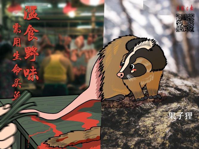 2025年果子狸皮价格会涨还是跌？-图2