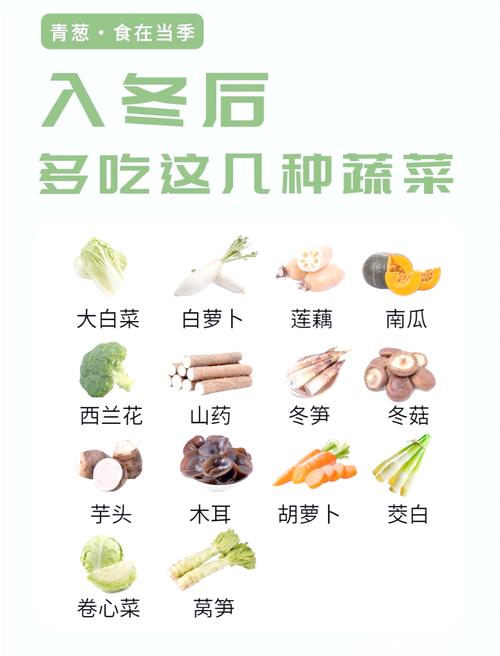 冬季种哪些蔬菜品种最好卖?-图1 冬季种哪些蔬菜品种最好卖?-图1