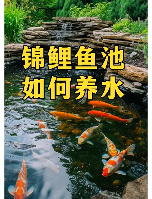 四大家鱼池塘降养殖技术如何实现高效降本?-图1 四大家鱼池塘降养殖技术如何实现高效降本?-图1