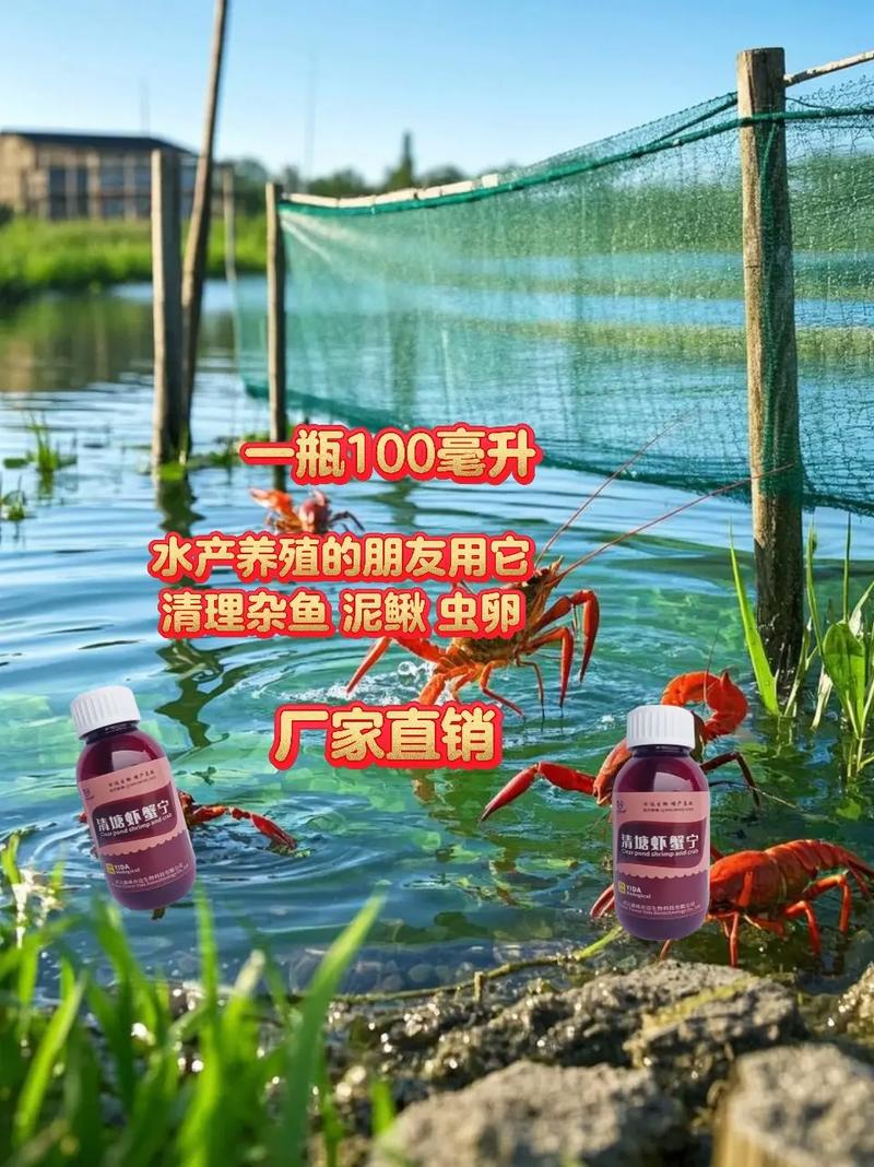 四大家鱼池塘降养殖技术如何实现高效降本？-图3