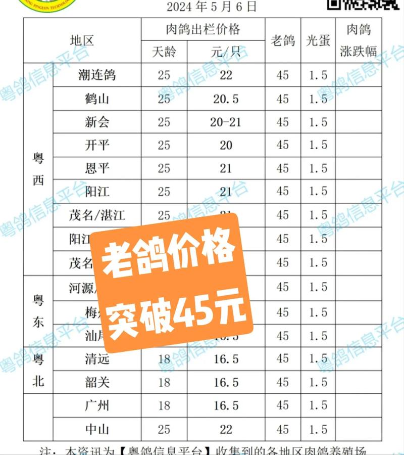 2025年2月鸽子价格-图1