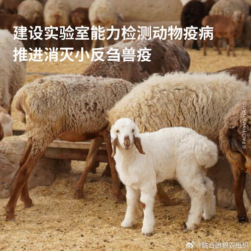 小反刍兽疫防治技术规范-图1